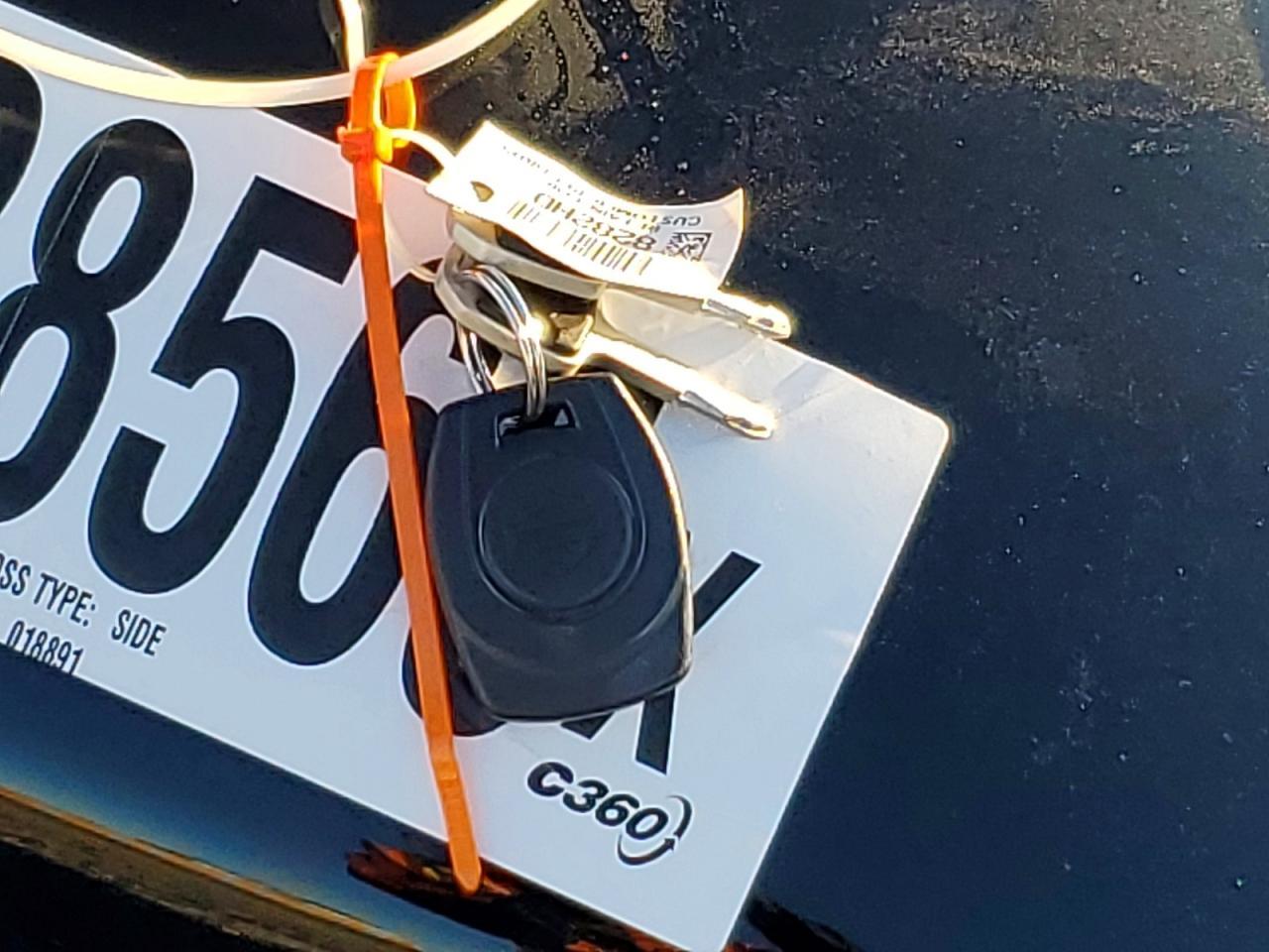 2026 Harley-Davidson Fxbb