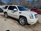 2010 Cadillac Escalade