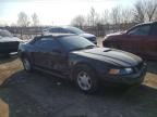 2000 Ford Mustang
