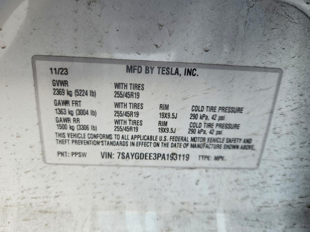 2023 Tesla Model y