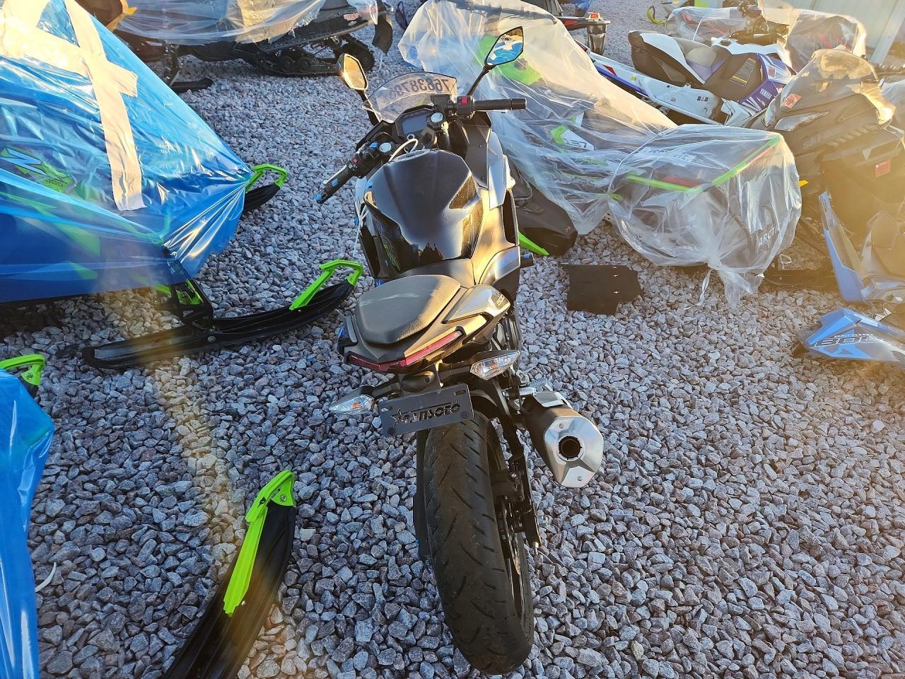2025 Kawasaki EX500