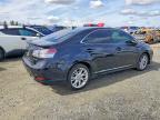 2010 Lexus Hs 250h