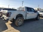 2017 Ford F150 Raptor