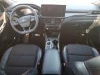 2023 Ford Escape st Line