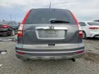 2010 Honda Cr-v exl