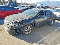 Lexus Vehiculos salvage en venta: 2004 Lexus Es 330