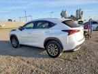 2019 Lexus Nx 300h