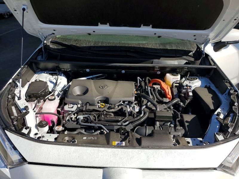 2025 Toyota Rav4 xle Premium