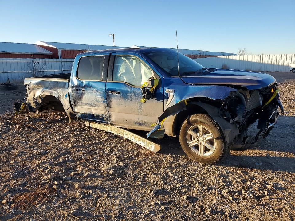 2024 Ford F150 xlt