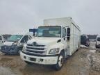 2016 Hino 338 BOX Truck