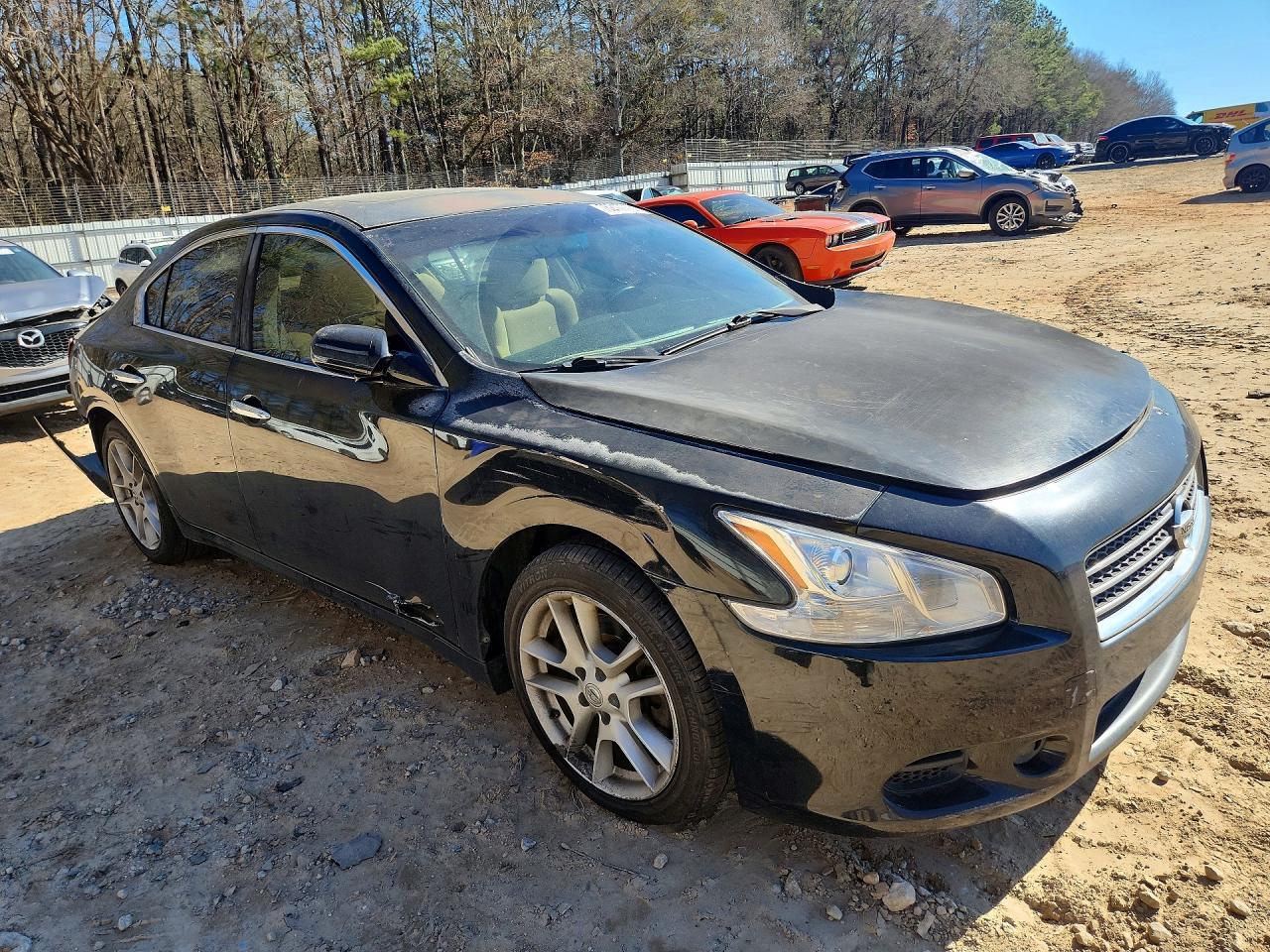 2009 Niss Maxima