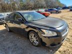 2009 Niss Maxima