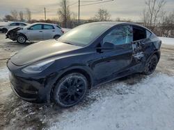 Tesla salvage cars for sale: 2023 Tesla Model y