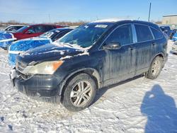 Vehiculos salvage en venta de Copart Ottawa, ON: 2011 Honda Cr-v exl