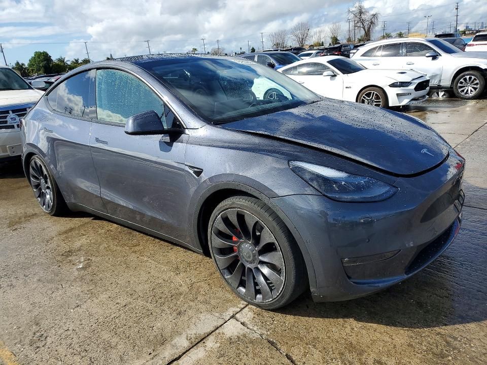 2022 Tesla Model y