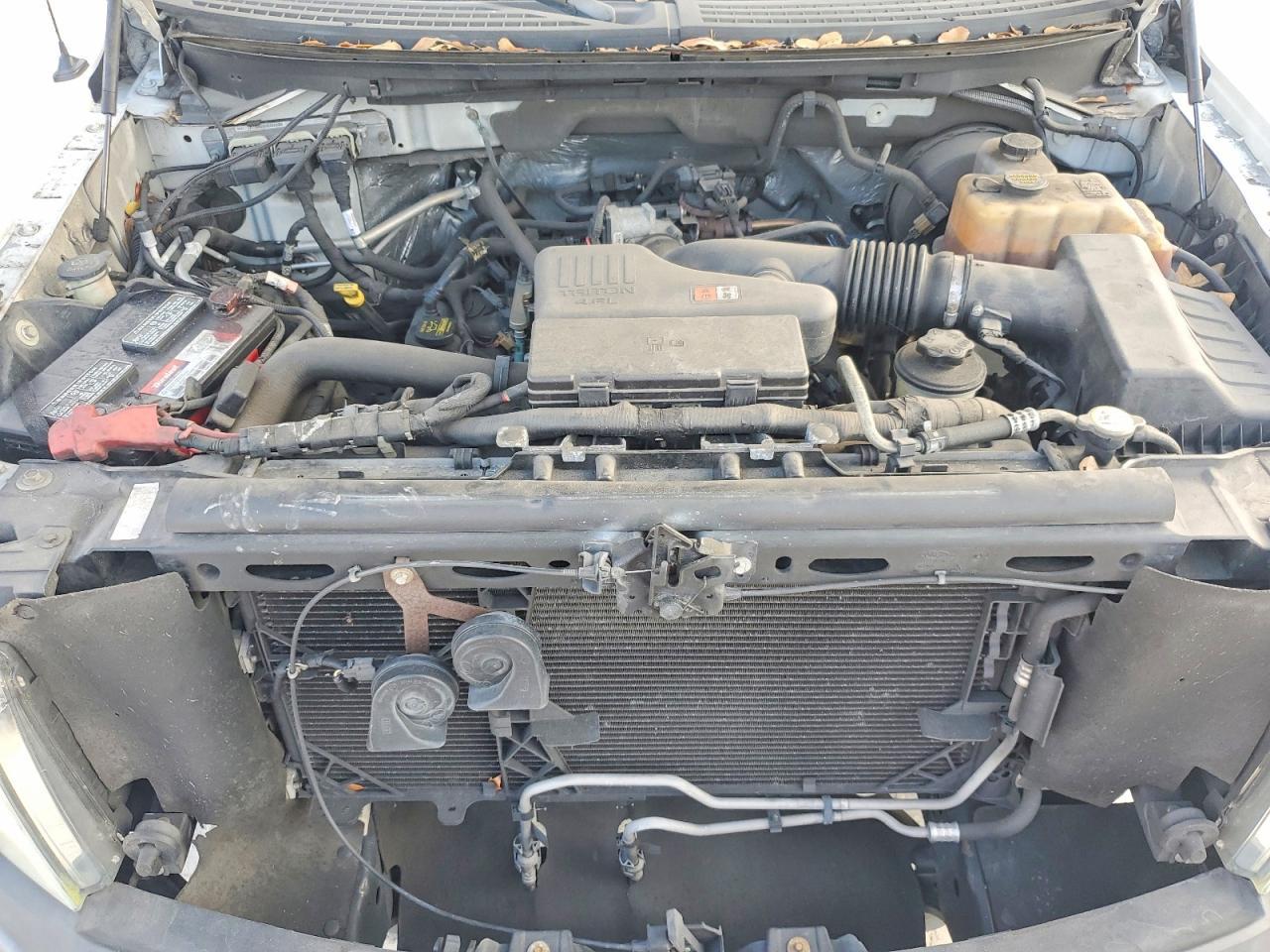 2010 Ford F150