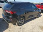 2023 Ford Escape st Line