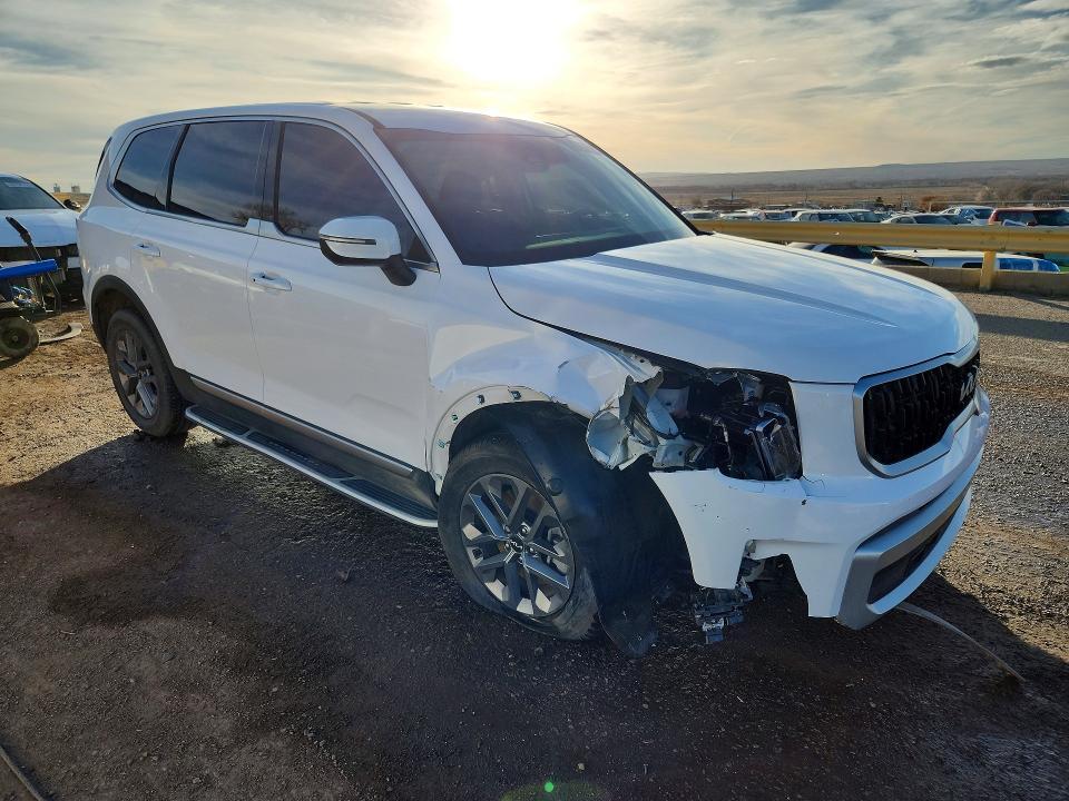2025 KIA Telluride lx