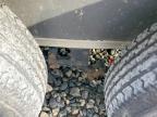 2024 Seed Cargo 6X12TA2 Enclosed Cargo Trailer