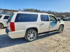 2014 Cadillac Escalade esv Platinum