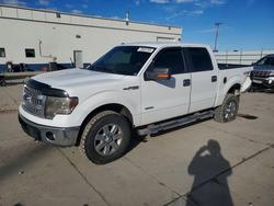 Salvage trucks for sale at Farr West, UT auction: 2013 Ford F150 Supercrew