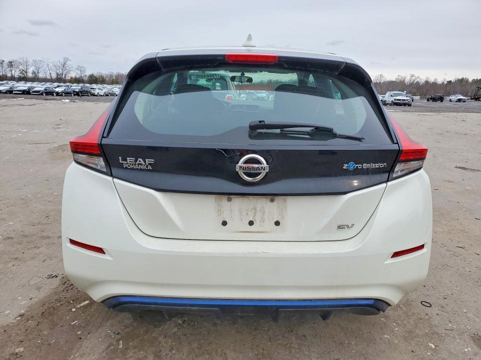 2018 Niss Leaf sv