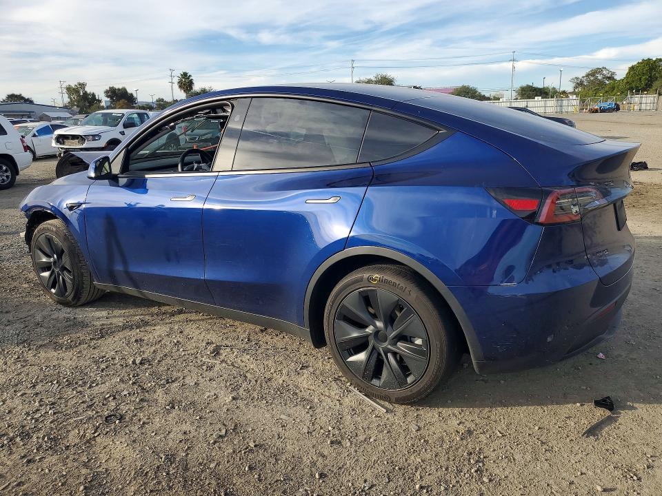 2025 Tesla Model y
