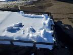 2025 Carry-On Trailer 2025 CARRY-ON Utility Trailer