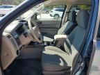 2011 Ford Escape xls