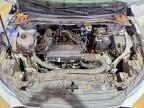 2024 Ford Escape st Line