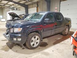 Honda salvage cars for sale: 2013 Honda Ridgeline rtl