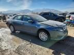 2011 Ford Fusion Hybrid