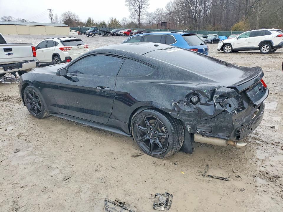2019 Ford Mustang