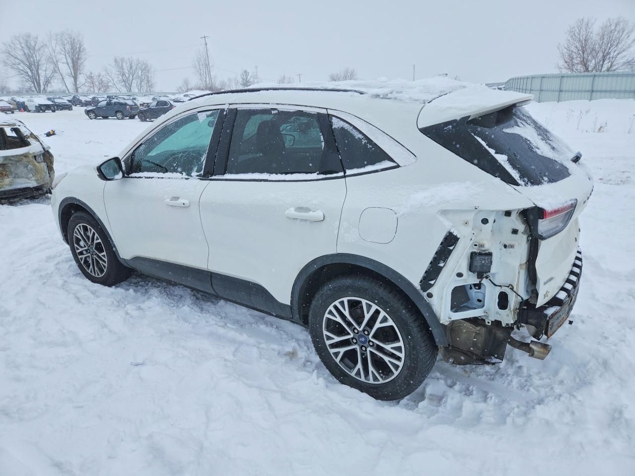 2020 Ford Escape sel