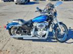 2004 Harley-Davidson XL883 C