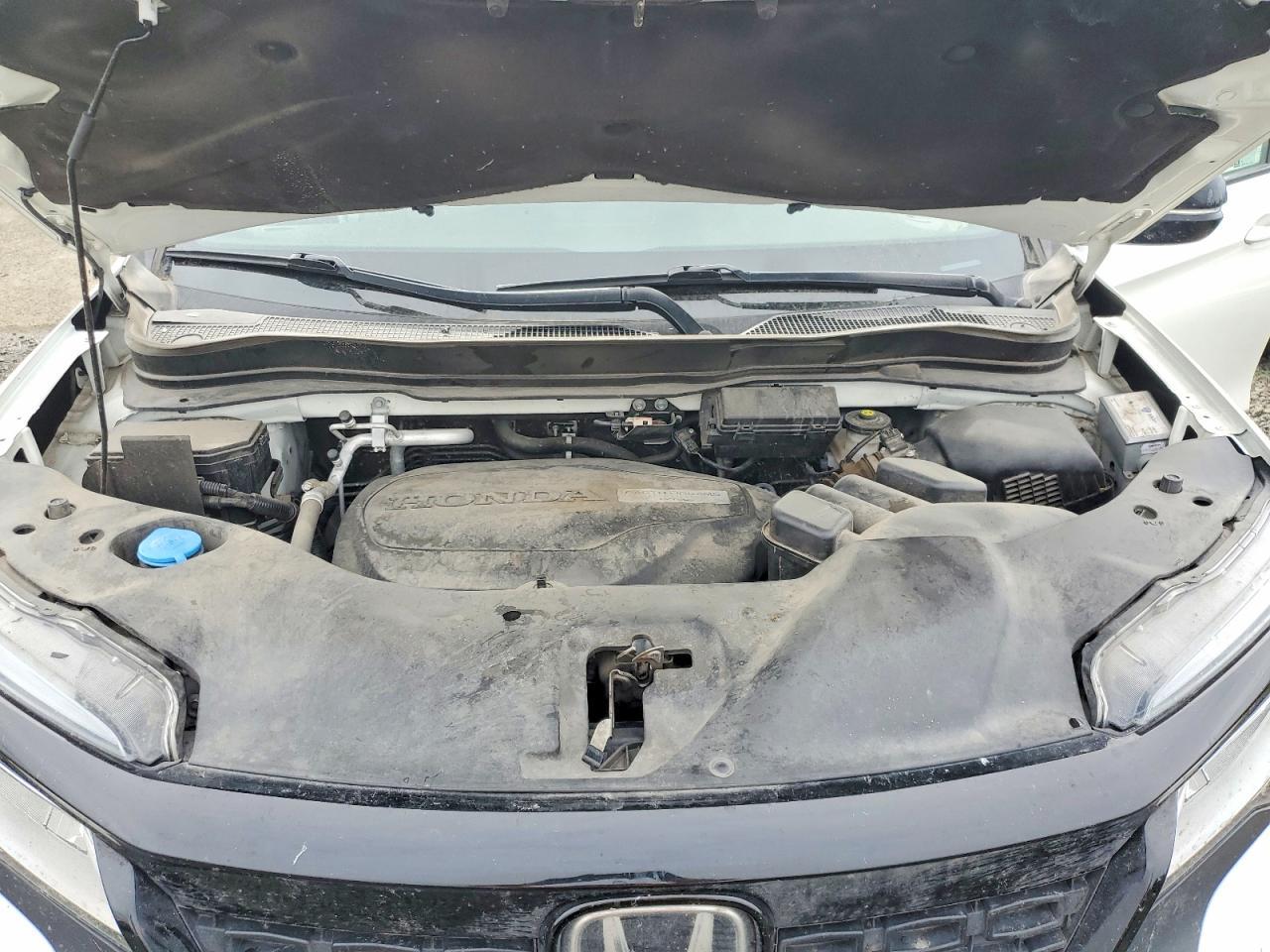 2019 Honda Passport Elite