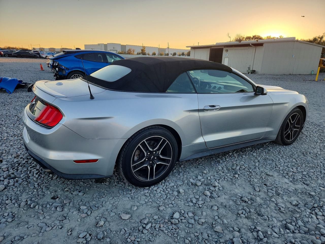 2019 Ford Mustang