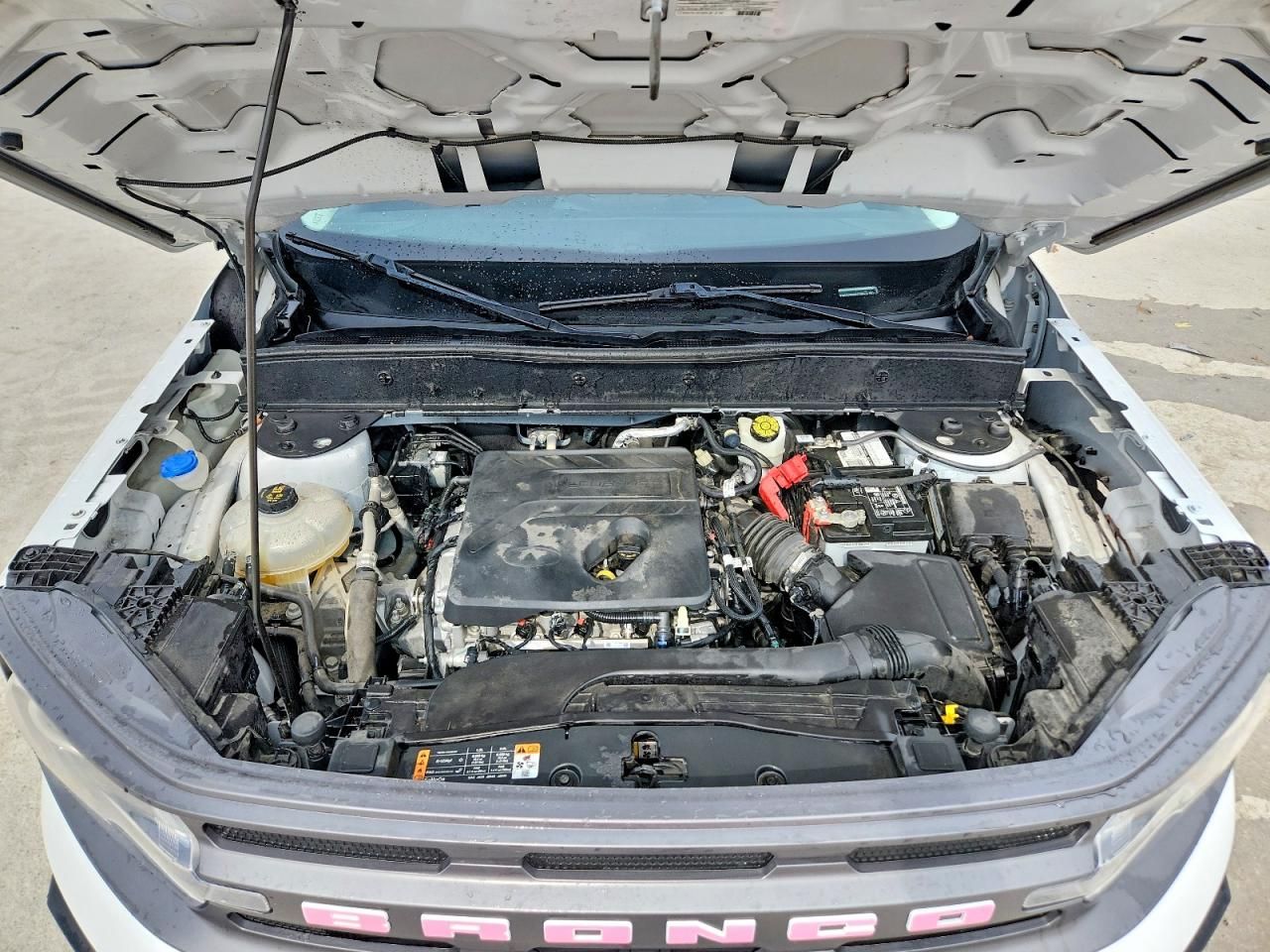 2021 Ford Bronco Sport big Bend