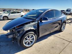 Tesla Model y salvage cars for sale: 2024 Tesla Model y