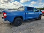 2020 Toyota Tundra Crewmax SR5