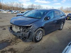 Honda Vehiculos salvage en venta: 2016 Honda Odyssey exl