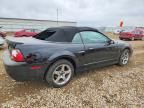2003 Ford Mustang Cobra svt