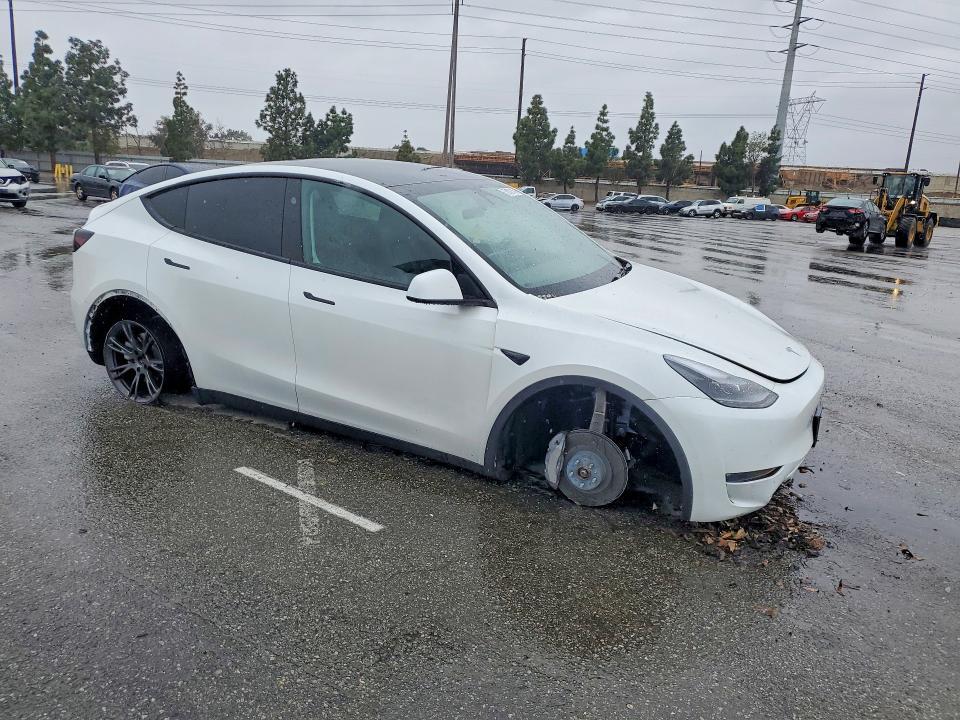2025 Tesla Model y