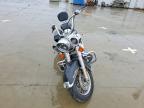 2005 Harley-Davidson Flstci