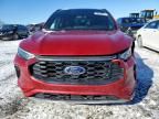 2024 Ford Escape st Line