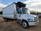 2019 Hino 308/338 Refrigerated BOX Truck