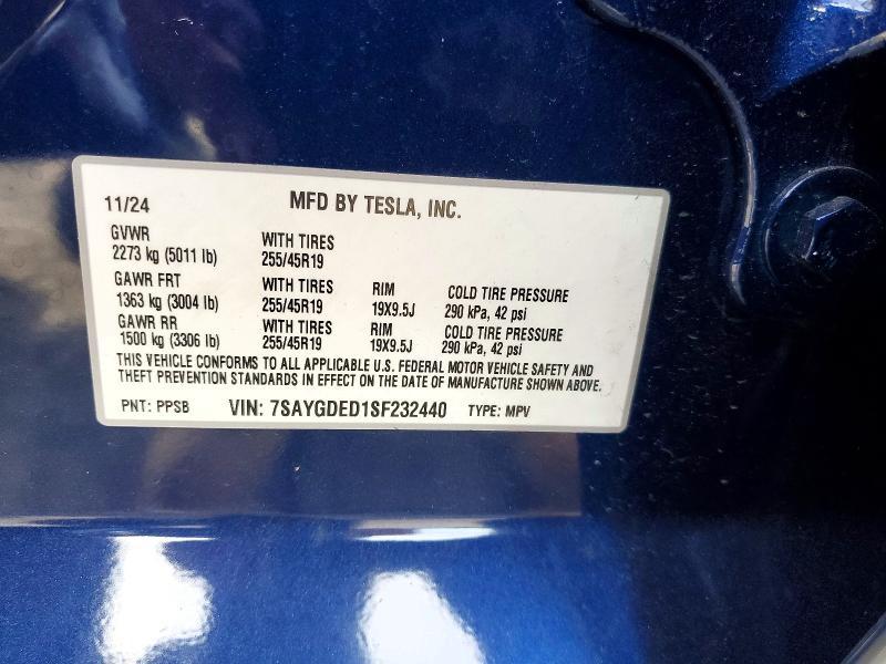 2025 Tesla Model y