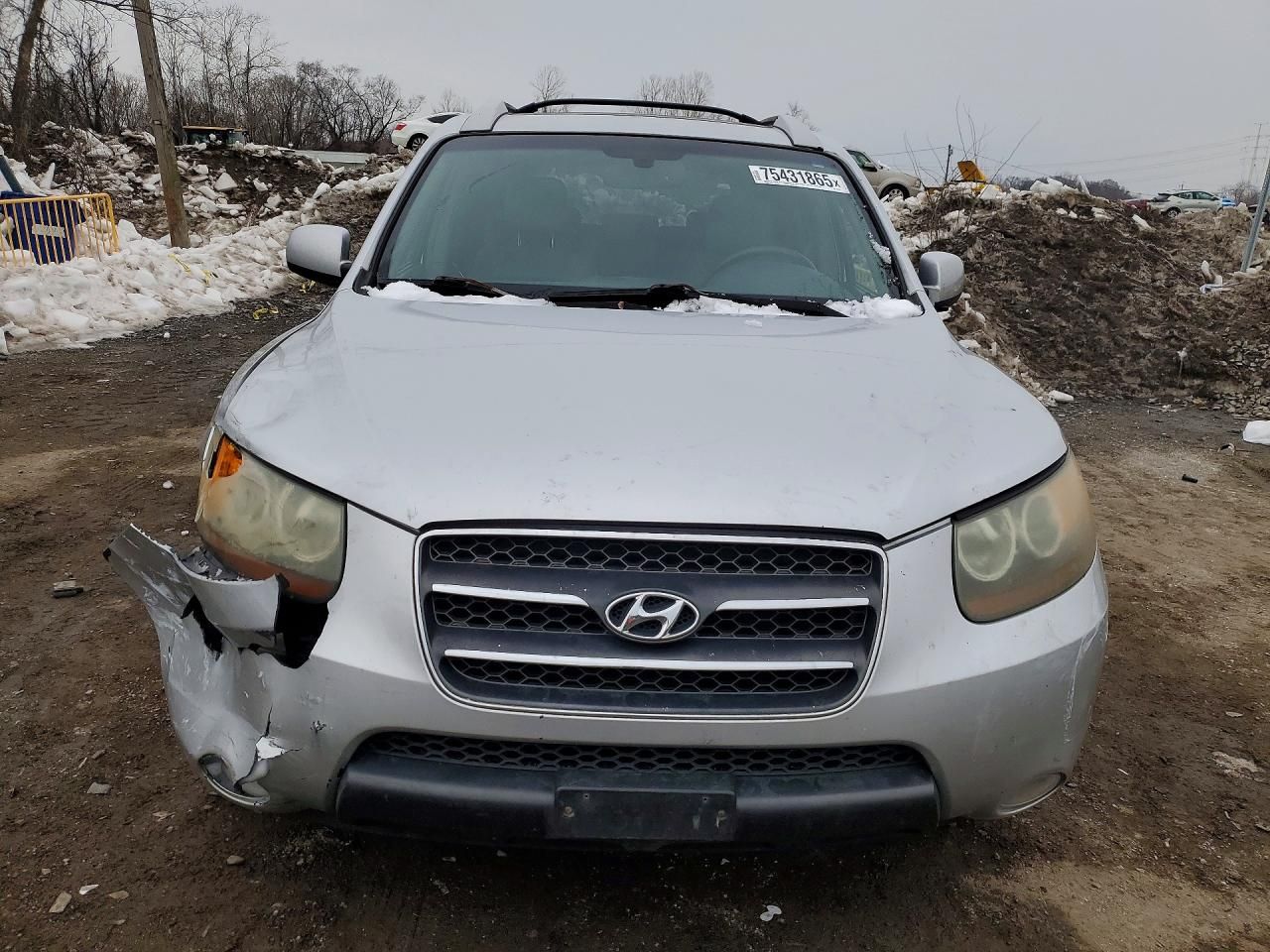 2007 Hyundai Santa fe se