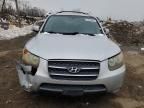 2007 Hyundai Santa fe se