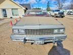1979 Chevrolet Caprice